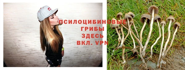 jwh Аркадак