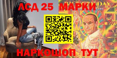 амф Кандалакша