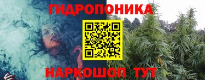 наркотики Камышлов