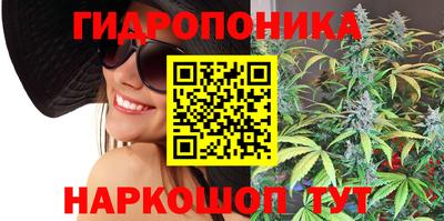наркотики Камышлов