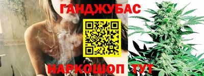 амф Кандалакша