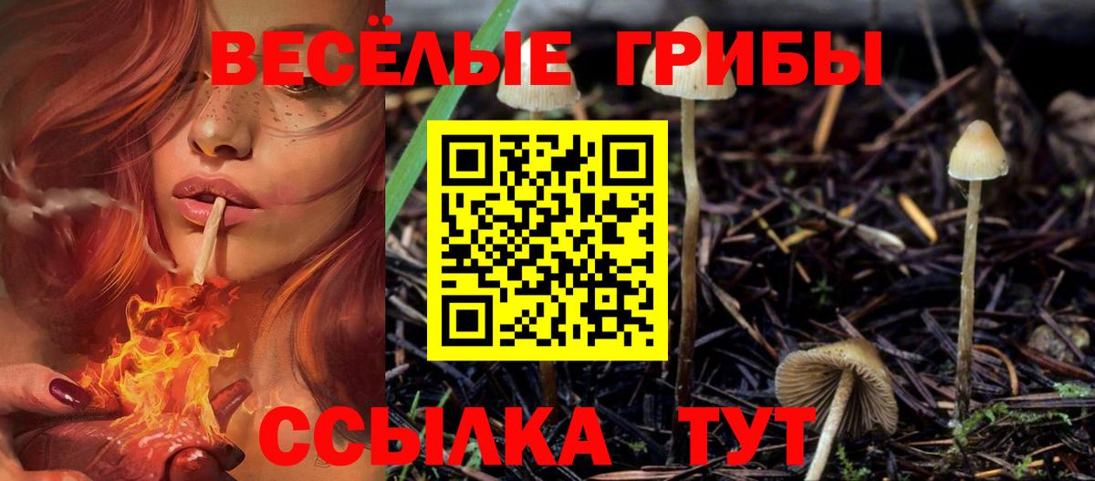 Псилоцибиновые грибы Cubensis Кубинка